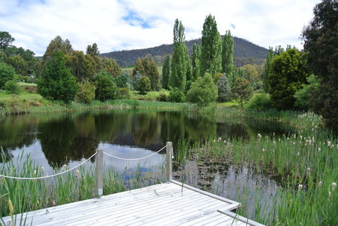 Hamlet Downs Country Accommodation - Taree Accommodation 12