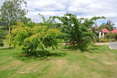 Hamlet Downs Country Accommodation - Taree Accommodation 21