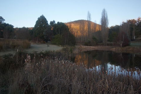 Hamlet Downs Country Accommodation - Taree Accommodation 25