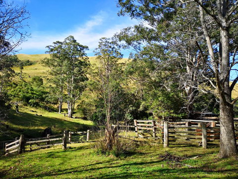 Nirvana Spiritual Retreat - Taree Accommodation 2