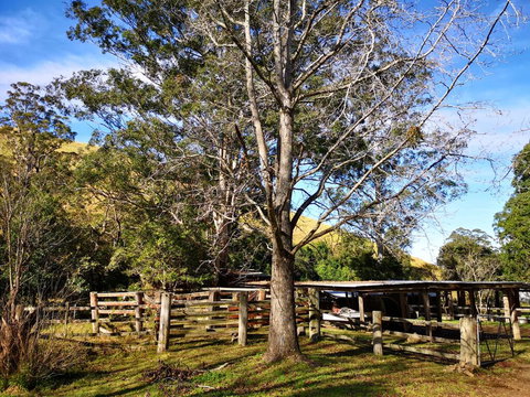 Nirvana Spiritual Retreat - Taree Accommodation 1