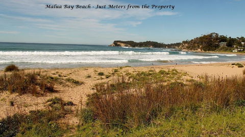 Ocean Front Malua Bay - Taree Accommodation 0