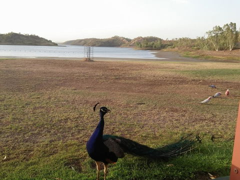 Overlander Hotel - Taree Accommodation 2