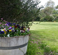 Padthaway Caravan Park - Taree Accommodation