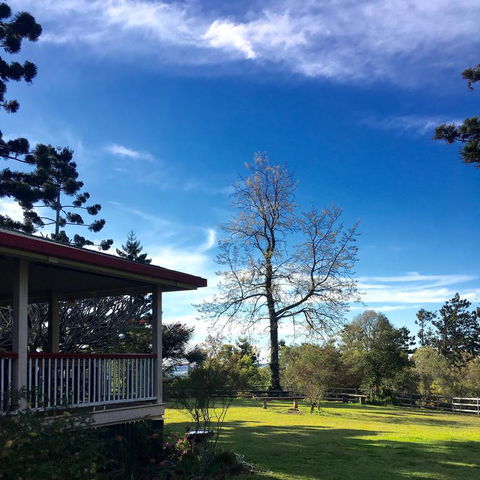 Pechey Homestead - Taree Accommodation 3