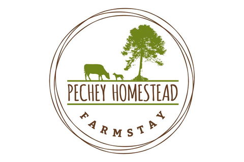 Pechey Homestead - Taree Accommodation 1
