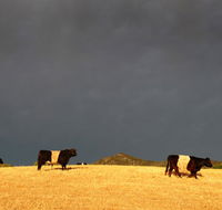 Peppertree Hill - Taree Accommodation