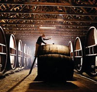 Pieter van Gent Winery  Vineyard - Taree Accommodation