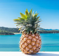 Pineapple House Whitsundays - Taree Accommodation