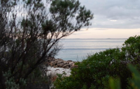 Polperro, A Quintessential Seaside Experience - Taree Accommodation 1
