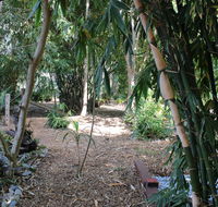 Rainforest Water Front River Shack Secluded. - Taree Accommodation