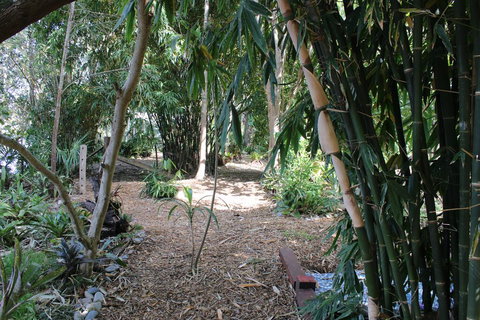 Rainforest, Water Front, River Shack, Secluded. - Taree Accommodation 0