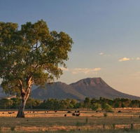 Rubicon Hotel Motel - Taree Accommodation