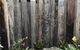 Sawtell Beach Shack 1 - thumb 3