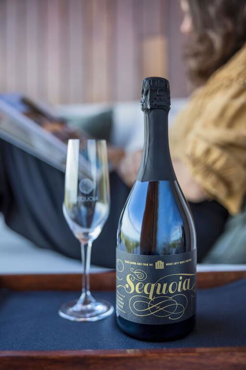 Sequoia Lodge - Taree Accommodation 3