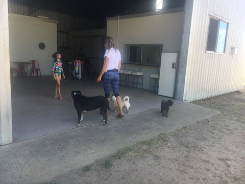 Something Different - Taree Accommodation 2