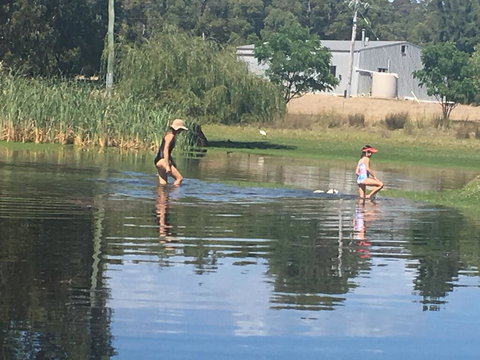 Something Different - Taree Accommodation 1