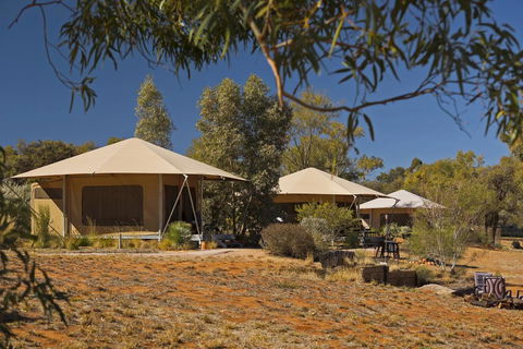 Squeakywindmill Boutique Tent B&B - Taree Accommodation 0