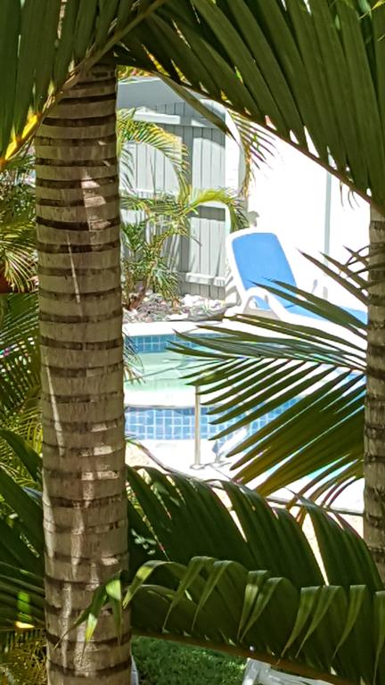 Studio Apartment Mooloolaba Beach Holiday Management - Taree Accommodation 0