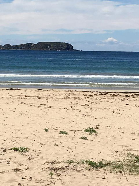Surf Beach Holiday - Taree Accommodation 0