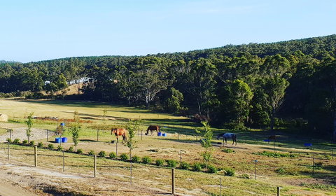 Lockleigh Park - Taree Accommodation 19