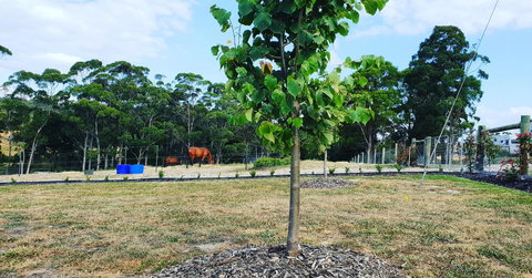 Lockleigh Park - Taree Accommodation 5