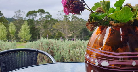 Lockleigh Park - Taree Accommodation 22