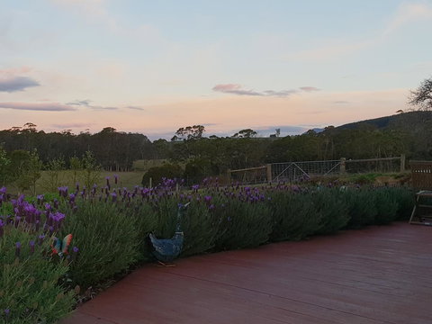 Lockleigh Park - Taree Accommodation 23