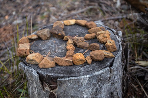 Rocky Hills Retreat - Taree Accommodation 15