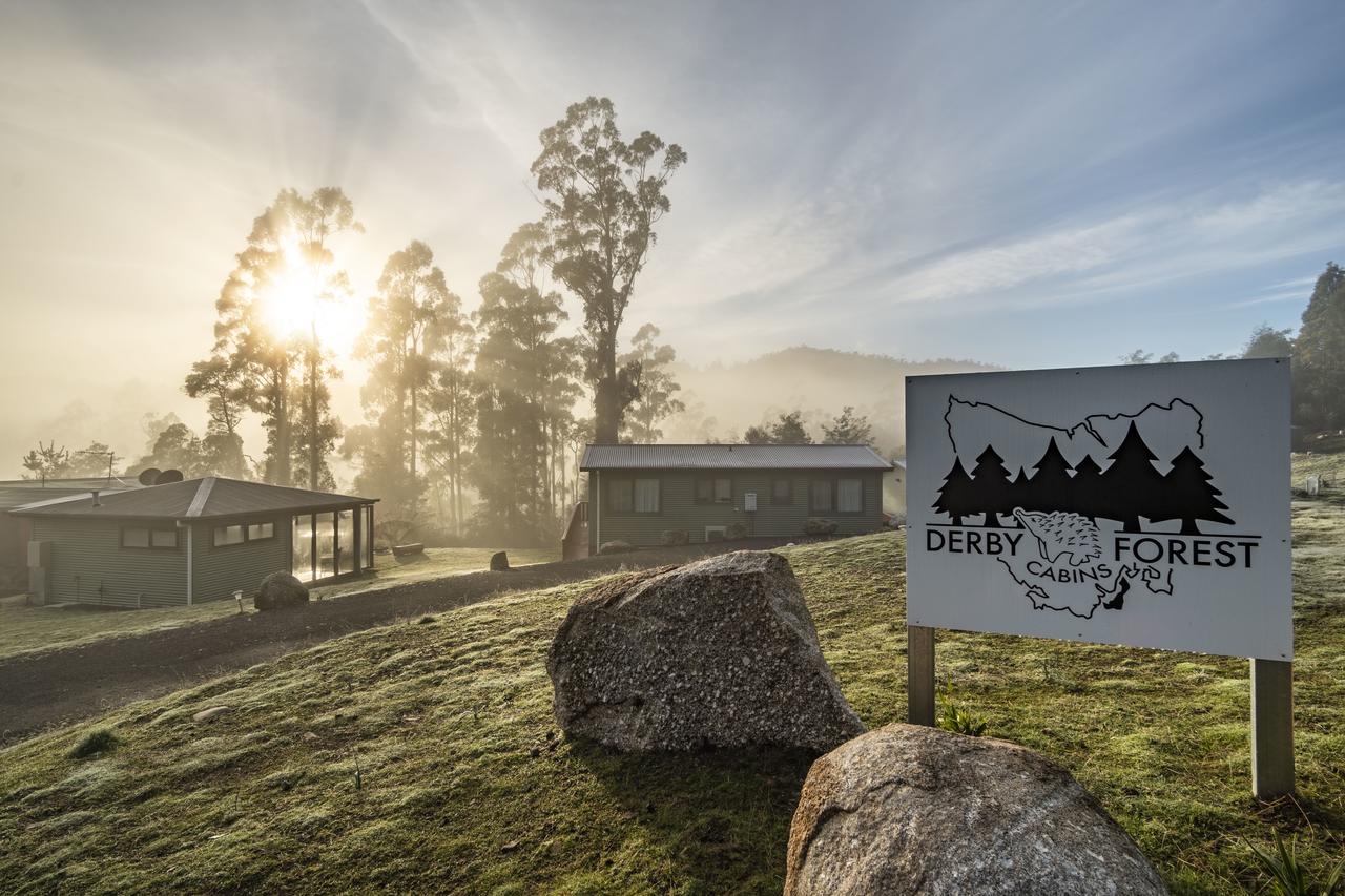 South Mount Cameron TAS Taree Accommodation