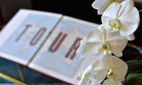 Lotus Gogh Apartment - Taree Accommodation 6