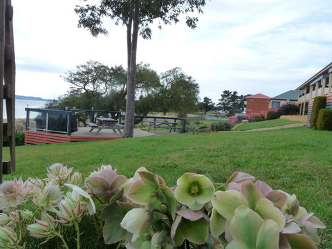 Swansea Motor Inn Tasmania - Taree Accommodation 17