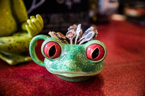 The Pickled Frog - Taree Accommodation 13