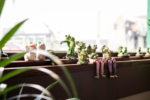 The Pickled Frog - Taree Accommodation 12