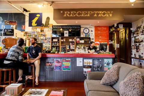 The Pickled Frog - Taree Accommodation 0