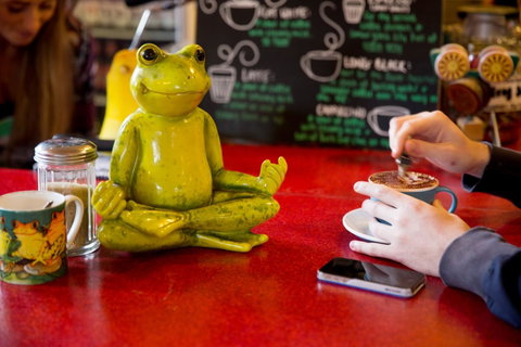 The Pickled Frog - Taree Accommodation 30