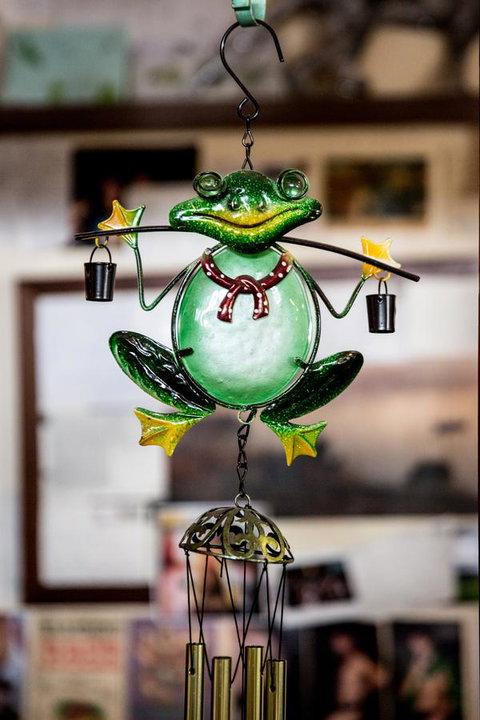 The Pickled Frog - Taree Accommodation 35