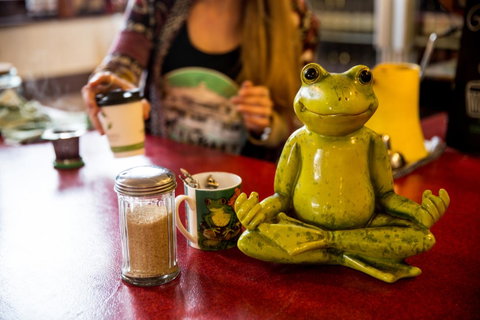 The Pickled Frog - Taree Accommodation 32