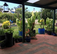 Blue Wren Bungalow - Taree Accommodation
