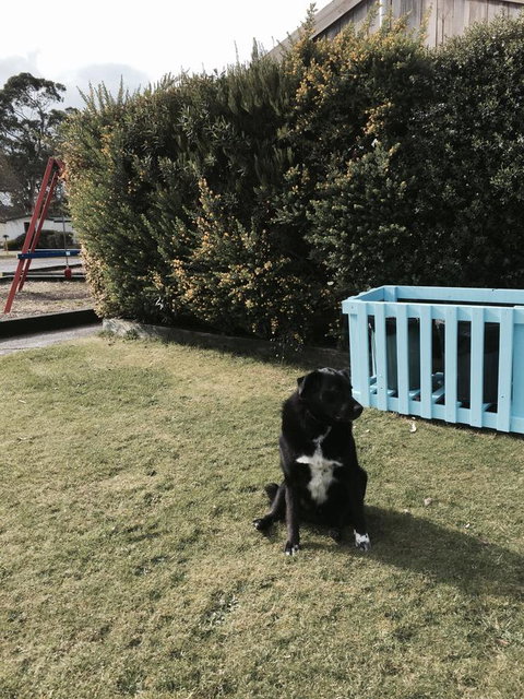 Strahan Beach Tourist Park - Taree Accommodation 9