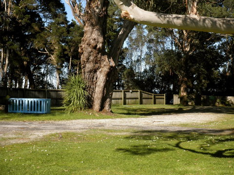 Strahan Beach Tourist Park - Taree Accommodation 5