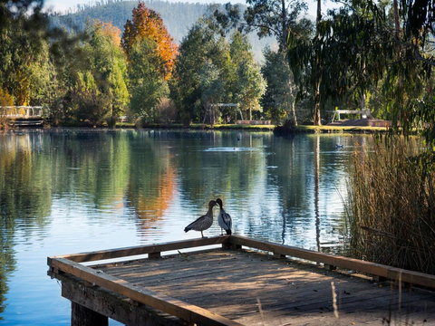 Peppers Marysville - Taree Accommodation 12