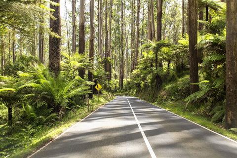 Peppers Marysville - Taree Accommodation 21