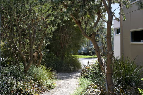 BIG4 Ingenia Holidays Queenscliff Beacon - Taree Accommodation 13