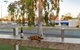 Quality Hotel Wangaratta Gateway - thumb 1