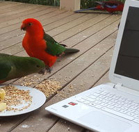 Wilsons Promontory Motel - Taree Accommodation