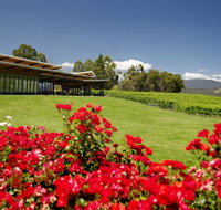 Balgownie Estate Vineyard Resort  Spa - Taree Accommodation