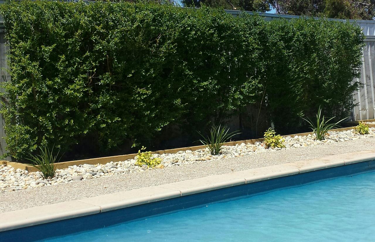 Annuello VIC Taree Accommodation