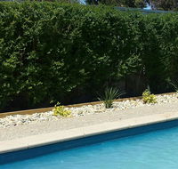 Robinvale Bridge Motel - Taree Accommodation