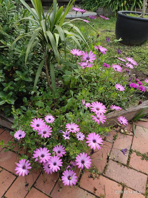 Coachman Motel And Holiday Units - Taree Accommodation 15